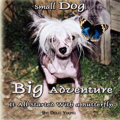 Book cover for Small Dog - Big Adventure