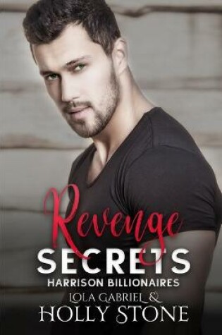 Cover of Revenge Secrets