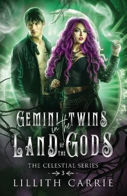 Book cover for Gemini Twins in the Land of the Gods