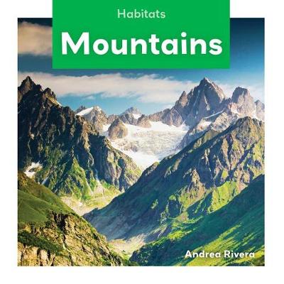 Book cover for Mountains