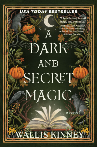 Cover of A Dark and Secret Magic