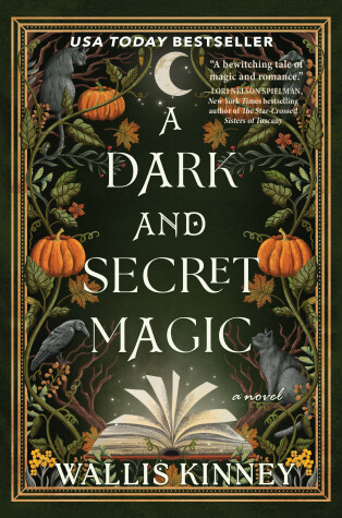 Book cover for A Dark and Secret Magic