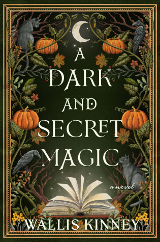 Cover of A Dark and Secret Magic