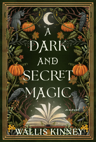 Book cover for A Dark and Secret Magic