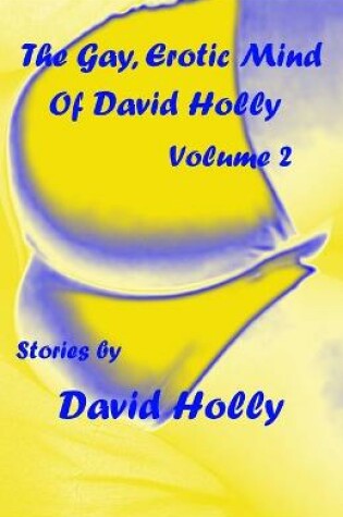 Cover of The Gay, Erotic Mind of David Holly, Volume 2