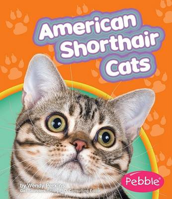 Book cover for American Shorthair Cats