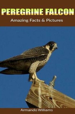 Cover of Peregrine Falcon