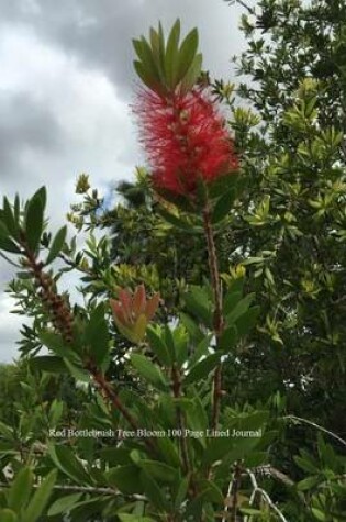 Cover of Red Bottlebrush Tree Bloom 100 Page Lined Journal