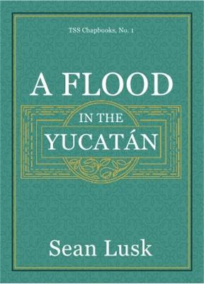 Book cover for A Flood in the Yucatán