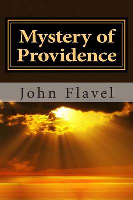 Book cover for Mystery of Providence
