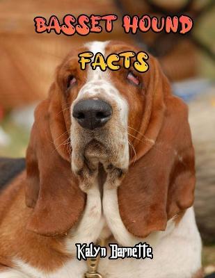 Book cover for Basset Hound Facts