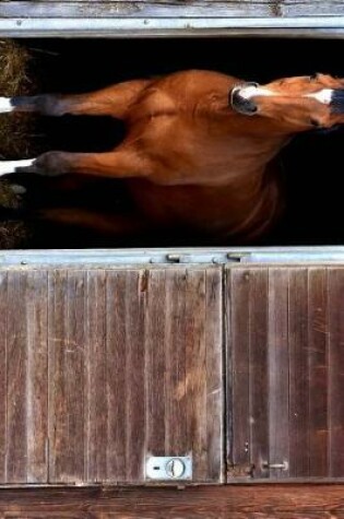 Cover of A Horse in It's Stall Journal