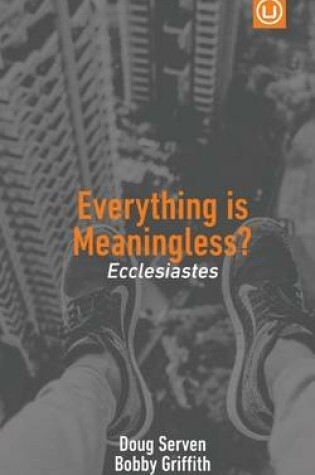 Cover of Everything Is Meaningless?