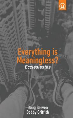 Book cover for Everything Is Meaningless?