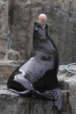 Cover of Playful Brown Fur Seal Journal