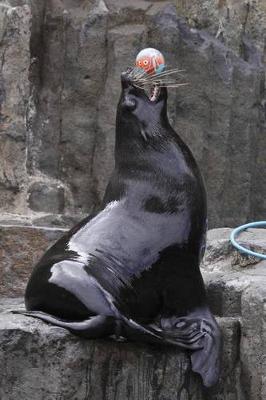 Book cover for Playful Brown Fur Seal Journal