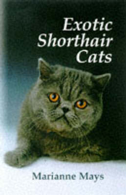 Book cover for Exotic Shorthair Cats