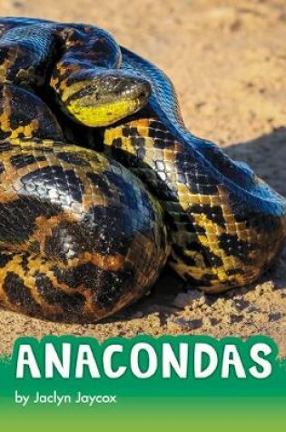 Cover of Anacondas