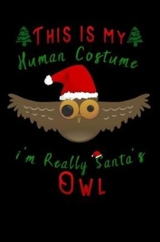 Cover of this is my human costume im really santa's Owl