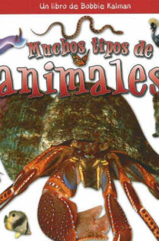 Cover of Muchos Tipos de Animales (Many Kinds of Animals)