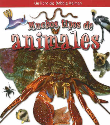 Book cover for Muchos Tipos de Animales (Many Kinds of Animals)
