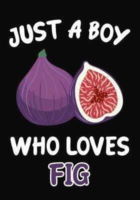 Book cover for Just a Boy Who Loves Fig