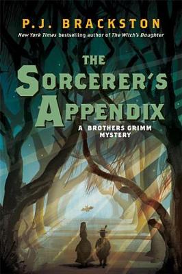 Book cover for The Sorcerer's Appendix