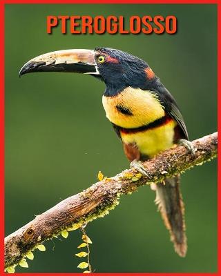 Book cover for Pteroglosso