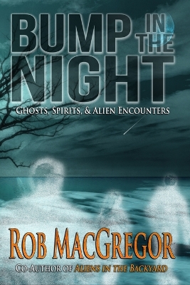 Book cover for Bump in the Night