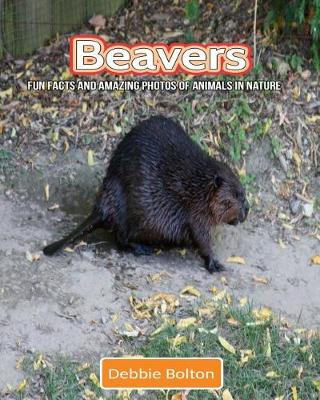 Book cover for Beavers