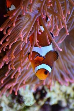 Cover of Anemone and a Clown Fish Journal