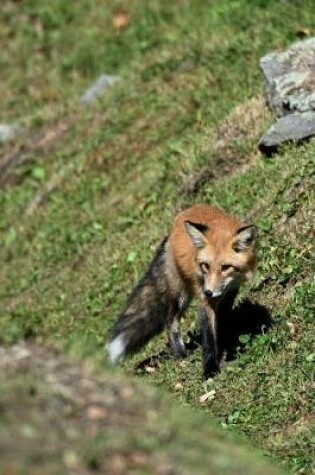 Cover of Pretty Red Fox on a Hill Animal Journal