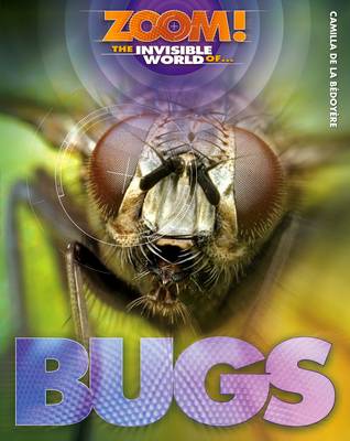 Book cover for The Invisible World of Bugs