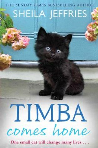 Cover of Timba Comes Home