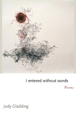 Cover of I entered without words