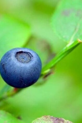 Cover of Blueberry Blue Blueberries Berries Berry Blues Plant Fruit Juice Juicing Juices