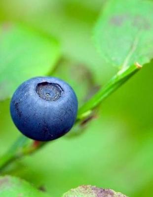 Book cover for Blueberry Blue Blueberries Berries Berry Blues Plant Fruit Juice Juicing Juices