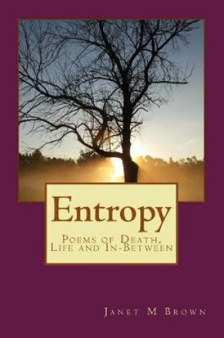 Cover of Entropy