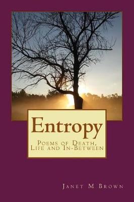 Book cover for Entropy