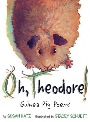 Book cover for Oh, Theodore!