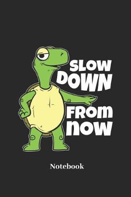 Book cover for Slow Down from Now Notebook