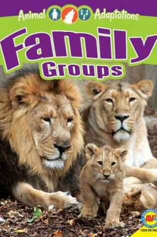 Cover of Family Groups