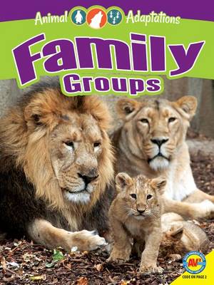 Cover of Family Groups