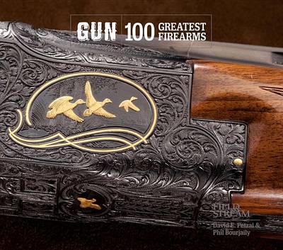 Cover of Gun