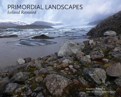 Book cover for Primordial Landscapes