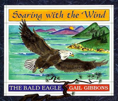 Book cover for Soaring with the Wind