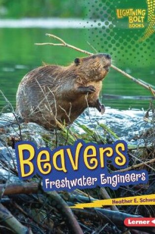 Cover of Beavers