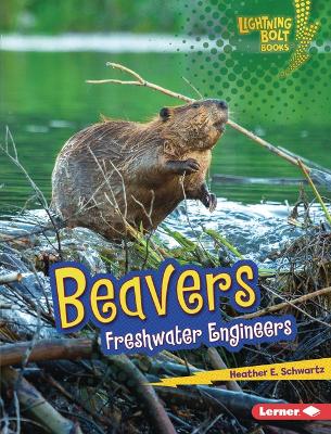 Book cover for Beavers