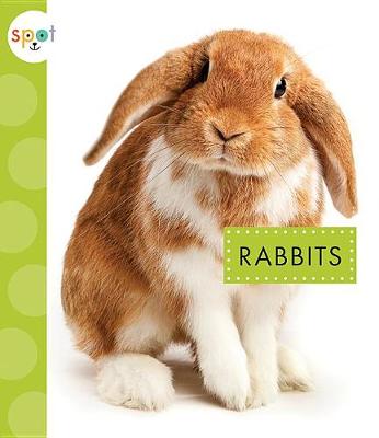 Cover of Rabbits