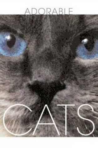 Cover of Cats